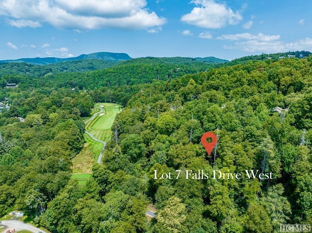 drone / aerial view with a mountain view