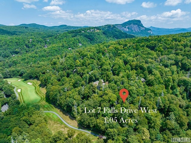 birds eye view of property featuring a mountain view