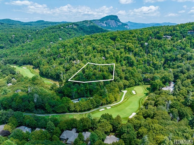 bird's eye view featuring a mountain view