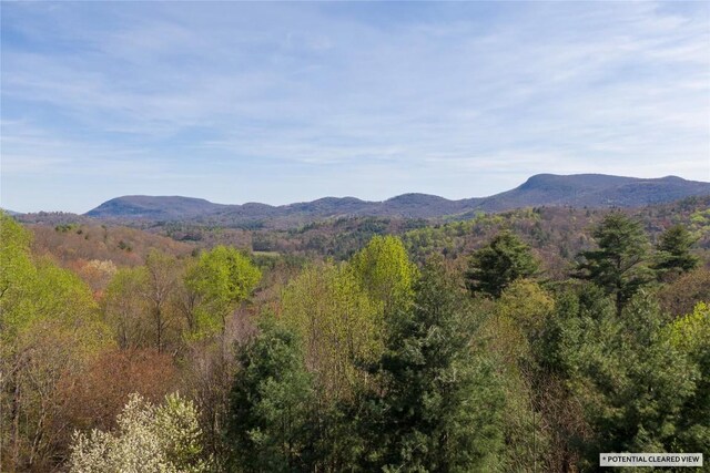 LOT4 Trillium Ridge Rd, Cullowhee, NC 28723 - photo 13