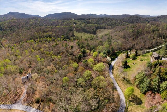 LOT4 Trillium Ridge Rd, Cullowhee, NC 28723 - photo 16