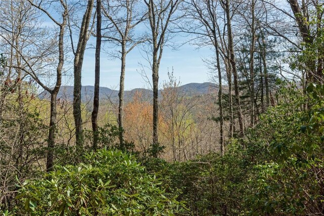 LOT4 Trillium Ridge Rd, Cullowhee, NC 28723 - photo 12