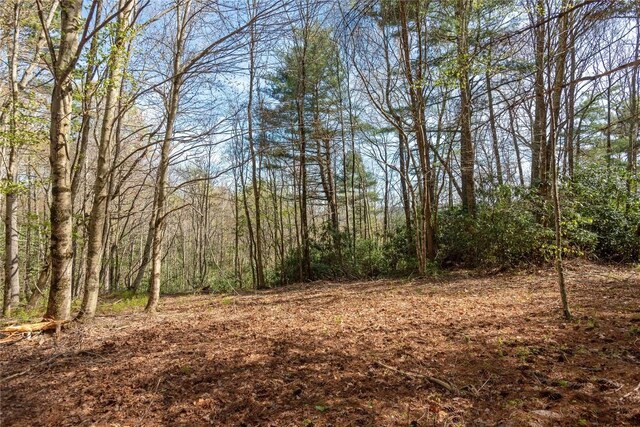 LOT4 Trillium Ridge Rd, Cullowhee, NC 28723 - photo 7