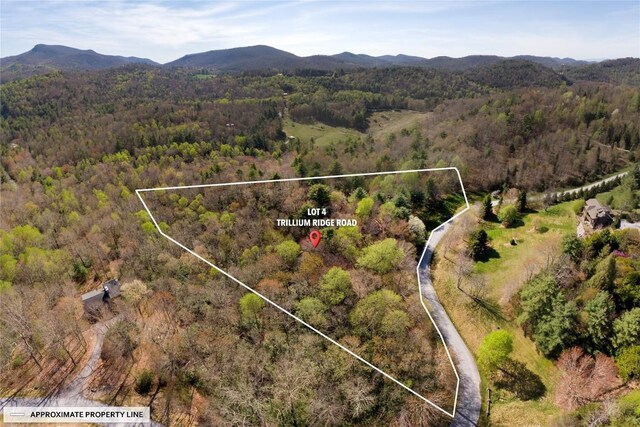 LOT4 Trillium Ridge Rd, Cullowhee, NC 28723 - photo 15