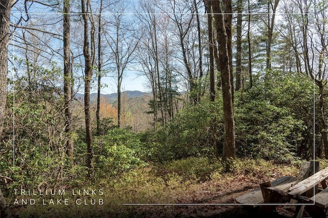 LOT4 Trillium Ridge Rd, Cullowhee, NC 28723 - photo 1