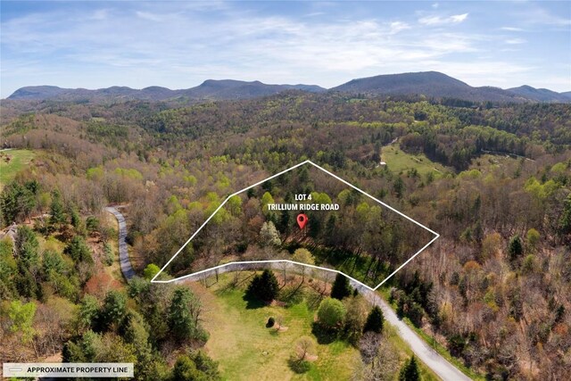 LOT4 Trillium Ridge Rd, Cullowhee, NC 28723 - photo 17