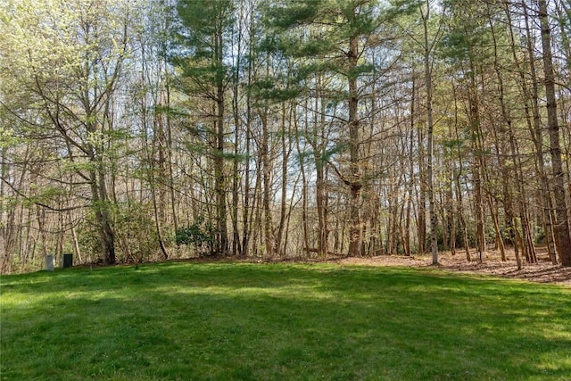 LOT4 Trillium Ridge Rd, Cullowhee, NC 28723 - photo 4