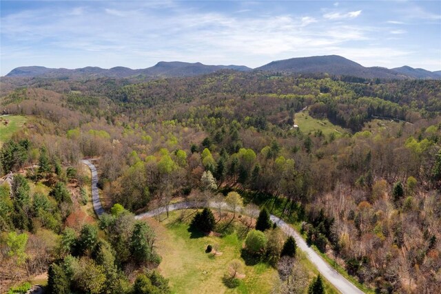 LOT4 Trillium Ridge Rd, Cullowhee, NC 28723 - photo 18