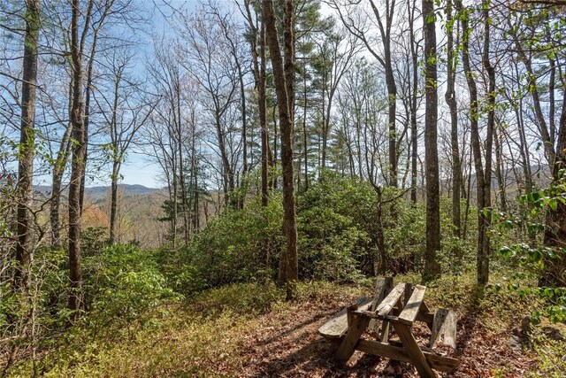 LOT4 Trillium Ridge Rd, Cullowhee, NC 28723 - photo 10