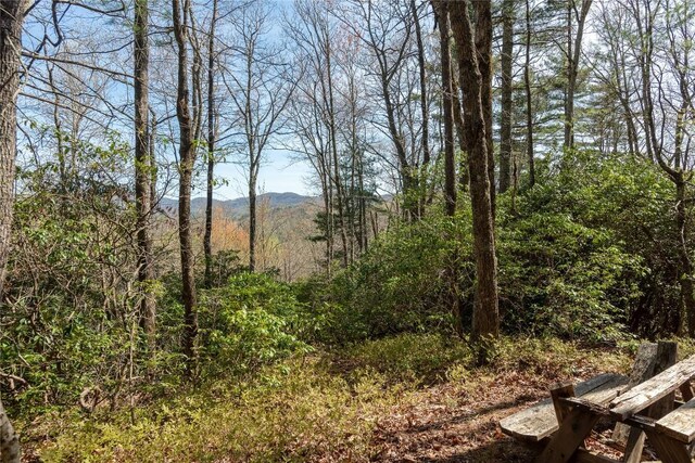 LOT4 Trillium Ridge Rd, Cullowhee, NC 28723 - photo 11