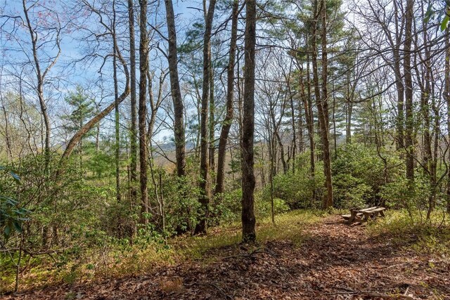 LOT4 Trillium Ridge Rd, Cullowhee, NC 28723 - photo 9