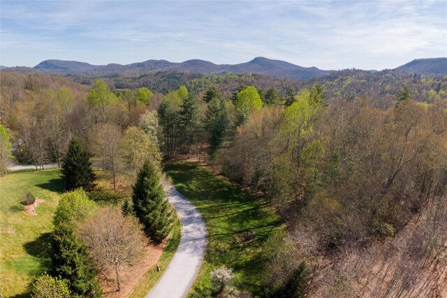 LOT4 Trillium Ridge Rd, Cullowhee, NC 28723 - photo 14