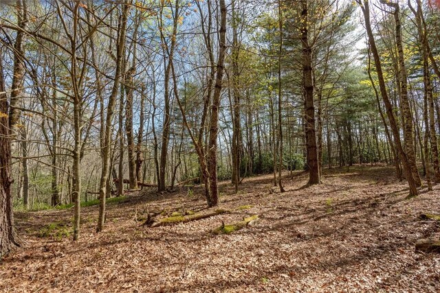 LOT4 Trillium Ridge Rd, Cullowhee, NC 28723 - photo 5