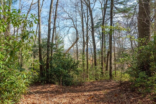 LOT4 Trillium Ridge Rd, Cullowhee, NC 28723 - photo 8