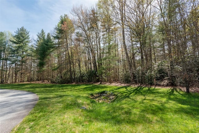 LOT4 Trillium Ridge Rd, Cullowhee, NC 28723 - photo 2
