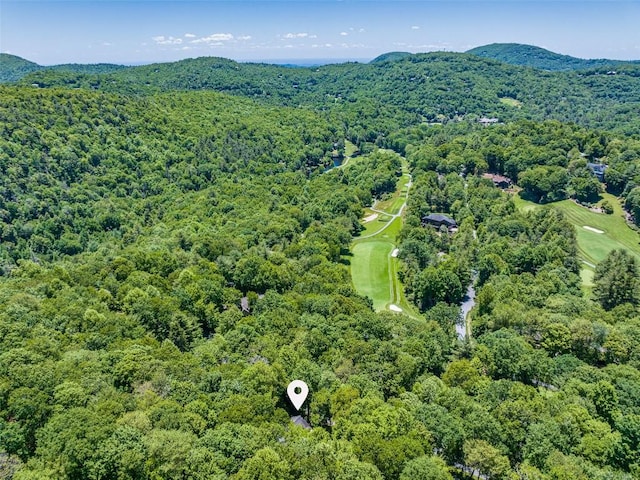1100 Claire Ln, Highlands, NC 28741 - photo 37