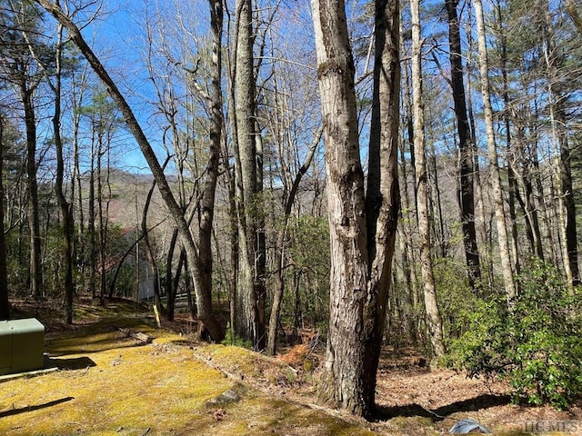 Listing photo 2 for TBD Highlands Gate Dr, Highlands NC 28741