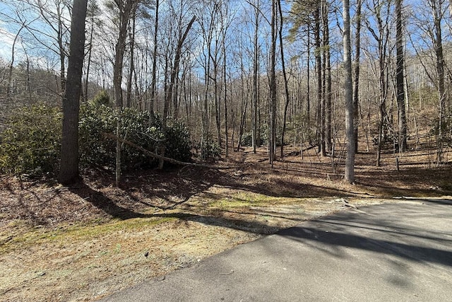 Listing photo 3 for E-204 Thunder Creek Ln, Cashiers NC 28717