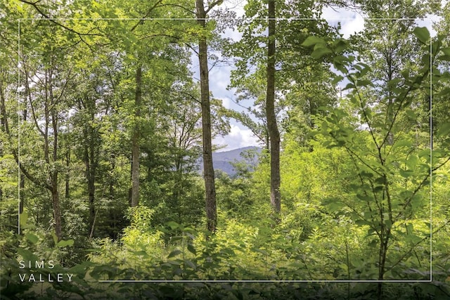 21R Pilot Knob Rd, Glenville, NC 28736 - photo 1