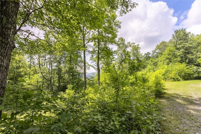 21R Pilot Knob Rd, Glenville, NC 28736 - photo 11