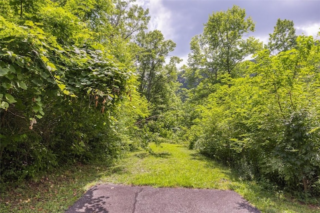 21R Pilot Knob Rd, Glenville, NC 28736 - photo 10