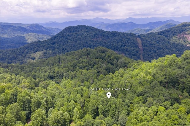 21R Pilot Knob Rd, Glenville, NC 28736 - photo 33