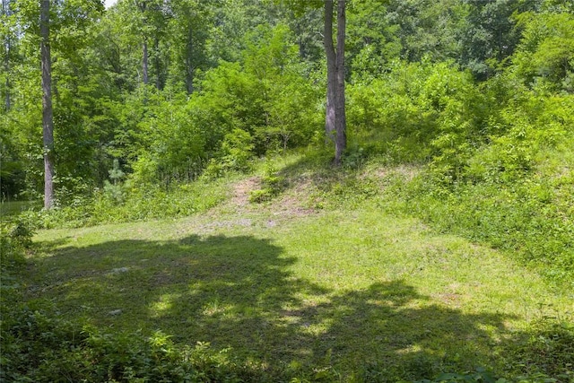 21R Pilot Knob Rd, Glenville, NC 28736 - photo 23