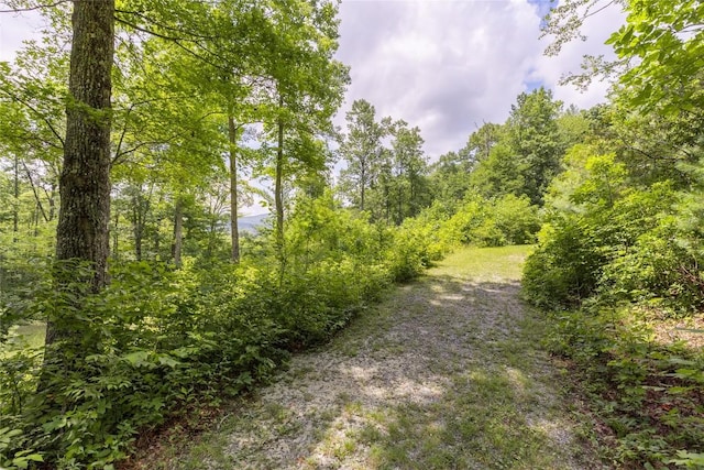 21R Pilot Knob Rd, Glenville, NC 28736 - photo 16