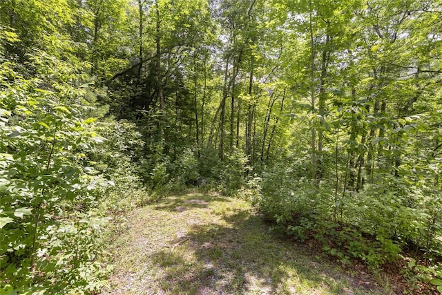 21R Pilot Knob Rd, Glenville, NC 28736 - photo 15