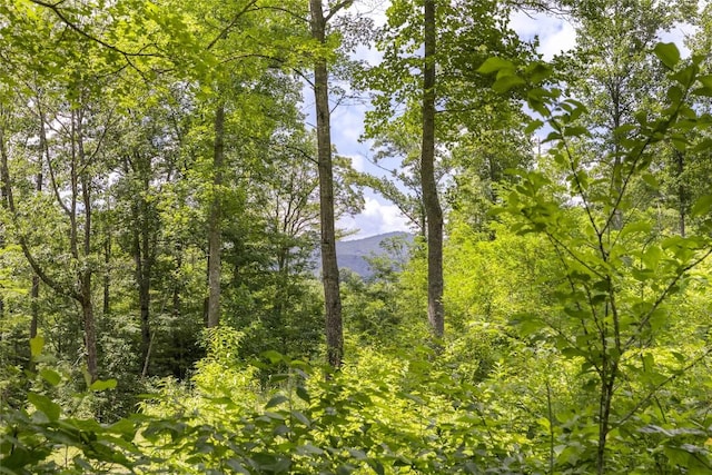 21R Pilot Knob Rd, Glenville, NC 28736 - photo 12