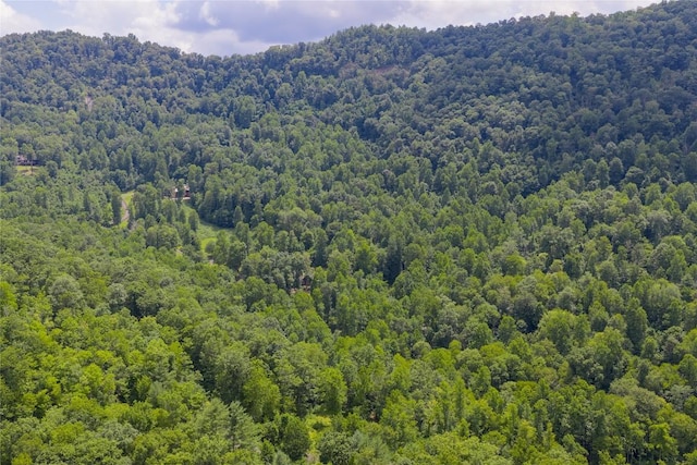 21R Pilot Knob Rd, Glenville, NC 28736 - photo 26
