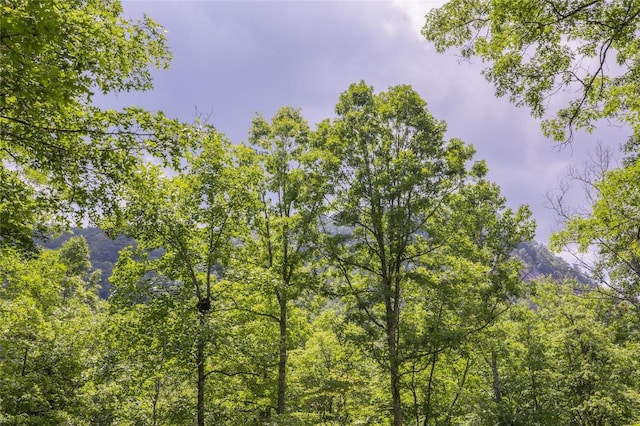 21R Pilot Knob Rd, Glenville, NC 28736 - photo 14