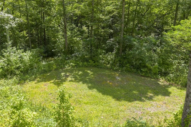 21R Pilot Knob Rd, Glenville, NC 28736 - photo 20