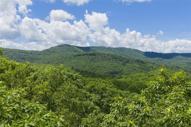 LOTE4 New Settlers Way, Glenville, NC 28736 - photo 4