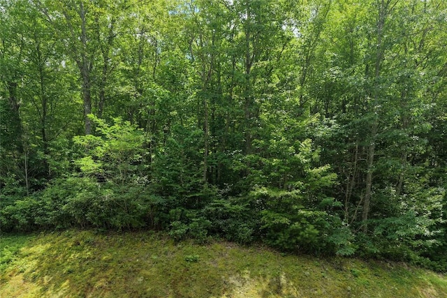 LOTE4 New Settlers Way, Glenville, NC 28736 - photo 8