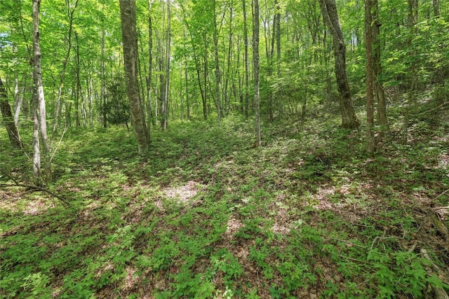 LOTE4 New Settlers Way, Glenville, NC 28736 - photo 12