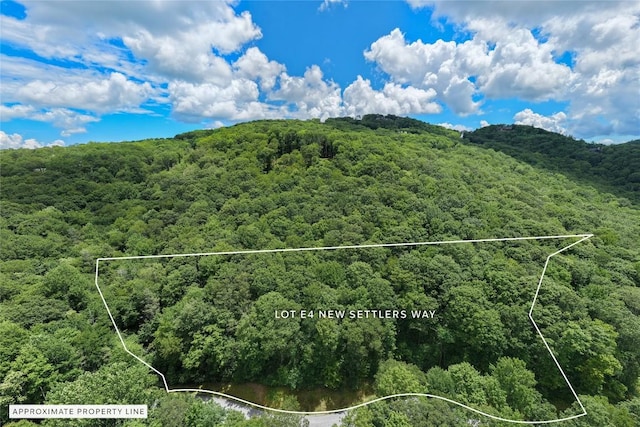 LOTE4 New Settlers Way, Glenville, NC 28736 - photo 3