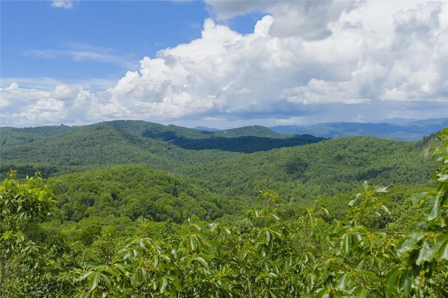 LOTE4 New Settlers Way, Glenville, NC 28736 - photo 6