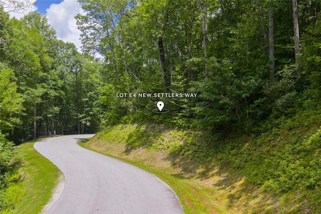 LOTE4 New Settlers Way, Glenville, NC 28736 - photo 2