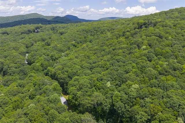 LOTE4 New Settlers Way, Glenville, NC 28736 - photo 14