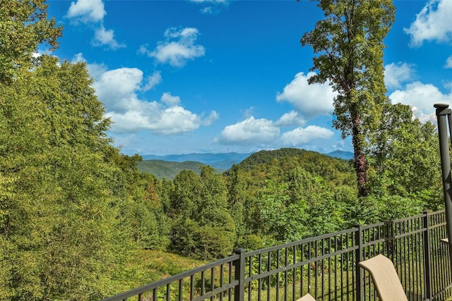 3605 Pilot Knob Rd, Glenville, NC 28736 - photo 46