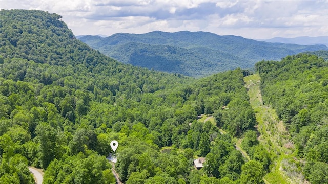 3605 Pilot Knob Rd, Glenville, NC 28736 - photo 6