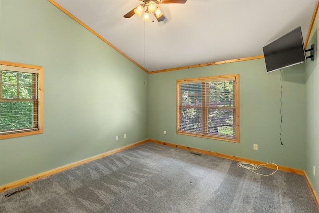 3605 Pilot Knob Rd, Glenville, NC 28736 - photo 26