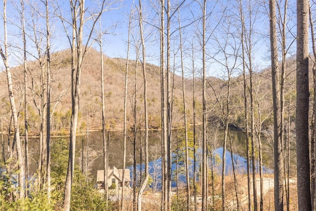 103 Southshore Dr Unit A1, Tuckasegee, NC 28783 - property view of water featuring a wooded view