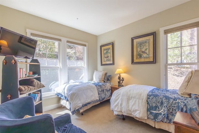 103 Southshore Dr Unit A1, Tuckasegee, NC 28783 - bedroom with carpet floors