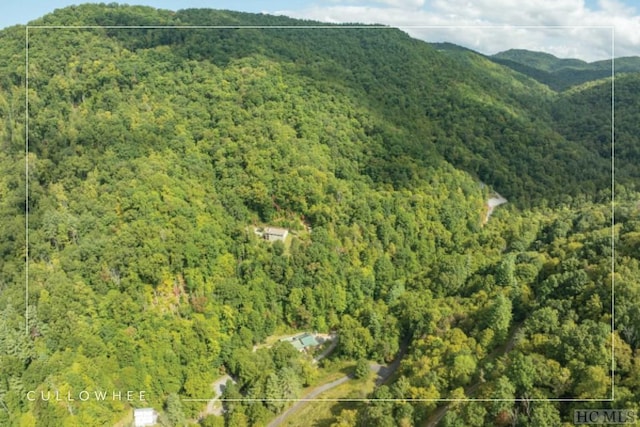 drone / aerial view with a mountain view