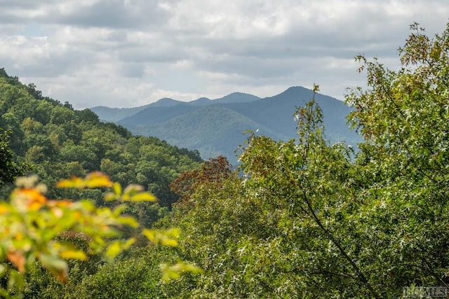 view of mountain feature