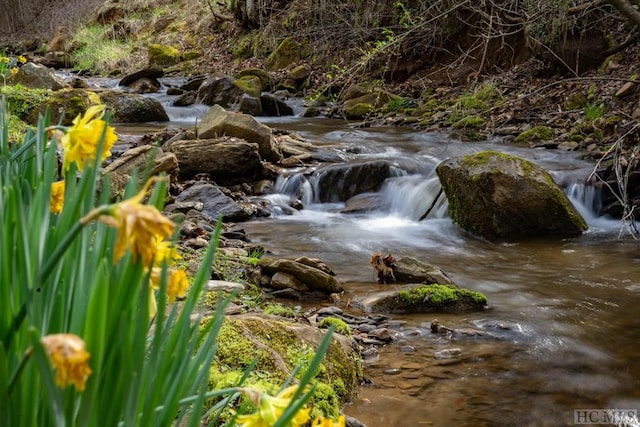 view of local wilderness featuring a water view