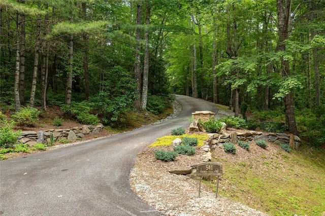 541 Summer Hill Rd, Cullowhee, NC 28723 - view of asphalt road with a wooded view