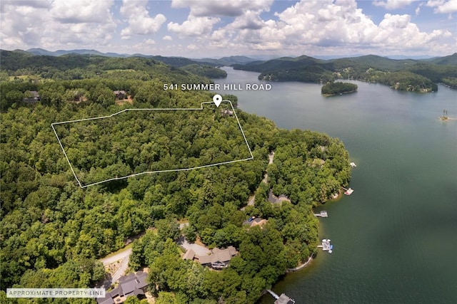 541 Summer Hill Rd, Cullowhee, NC 28723 - aerial overview of property's location featuring a water and mountain view and property boundaries highlighted